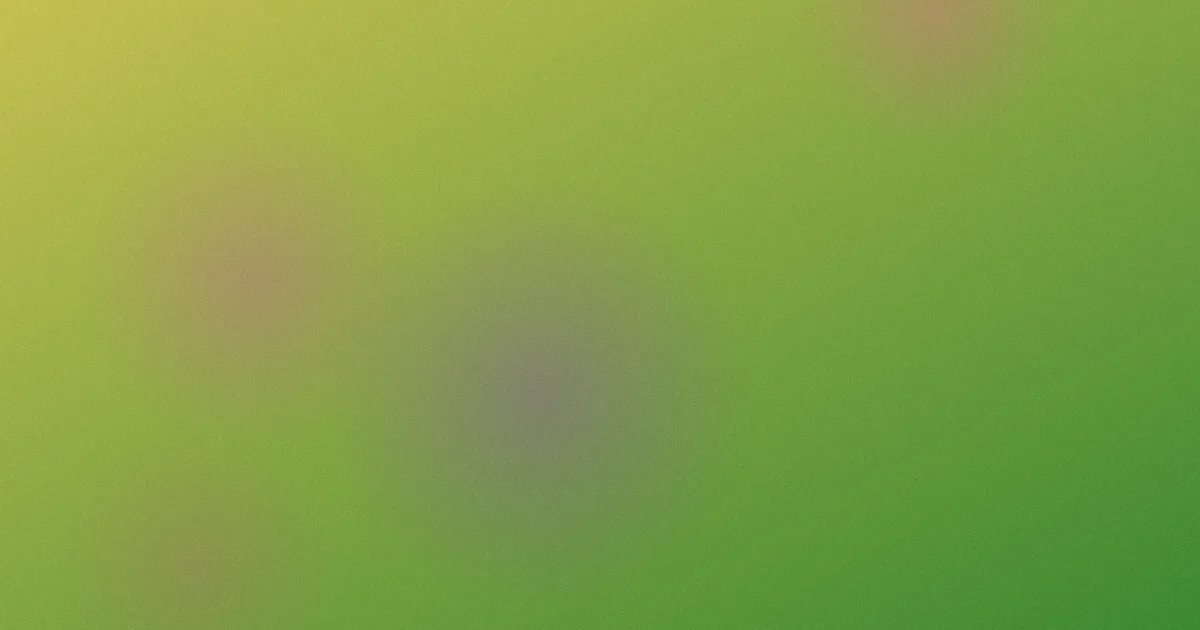 陌路狂杀在线观看推荐：新手渠道对比